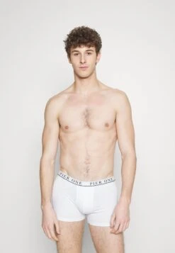 Pier One 5 PACK - Panties - White/pink/light Blue 11 Pier One 5 PACK - Panties - White/pink/light Blue -Bekleidungs Verkauf 3721024dbc554890a6059d1e8168907f