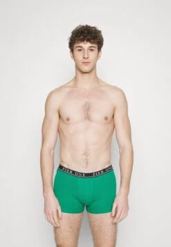 Pier One 5 PACK - Panties - Light Grey/black/green -Bekleidungs Verkauf 848816986ca24fbcb5e57aec8f8eb96c