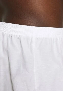 Pier One 5 PACK - Boxershorts - Light Blue/white -Bekleidungs Verkauf 8e2664e226c041628a342c1ad591e54d