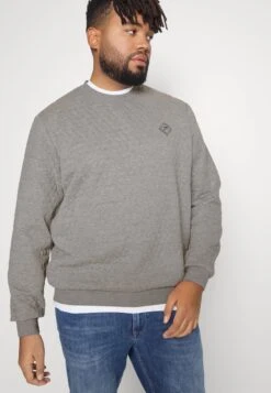 Pier One Sweatshirt - Grey -Bekleidungs Verkauf cf49486252674b43a74ae61d47433558